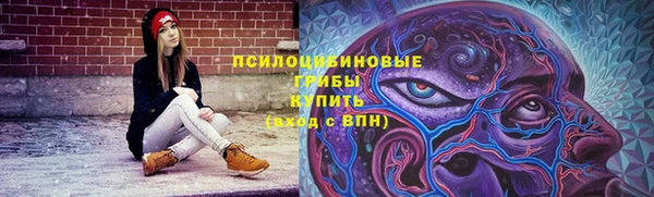 MDMA Premium VHQ Богородицк