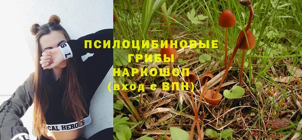 гашишное масло Богородск