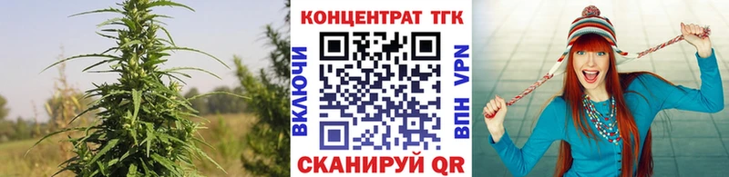 Купить закладки  Баксан  Дистиллят ТГК Wax 