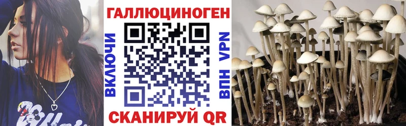 Галлюциногенные грибы Cubensis  Купить где  Баксан 